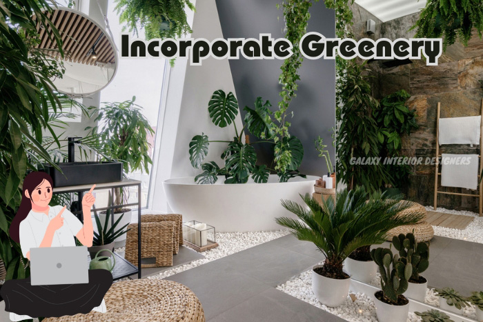 Galaxy Interior Designers' Chennai showroom displays an array of indoor greenery, demonstrating stylish ways to integrate plants into home interiors.
